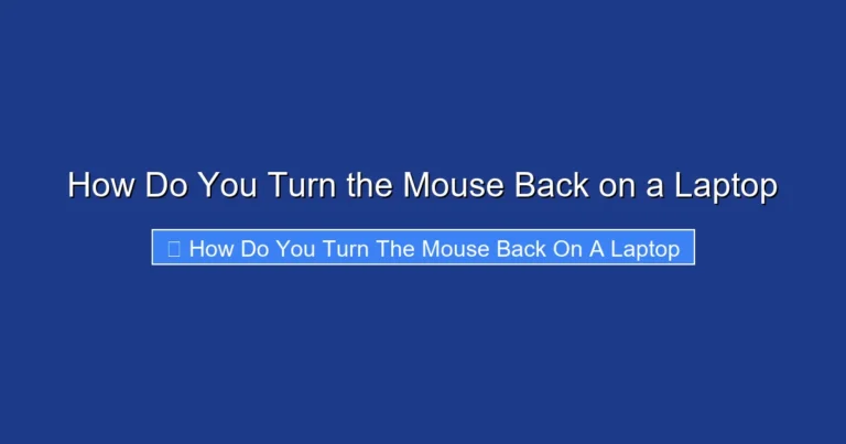How Do You Turn the Mouse Back on a Laptop