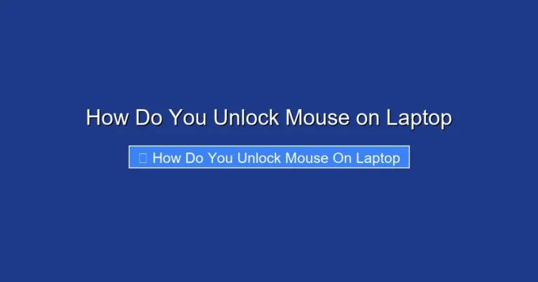 How Do You Unlock Mouse on Laptop