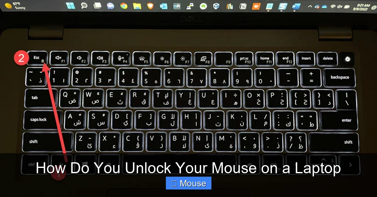 How Do You Unlock Your Mouse on a Laptop