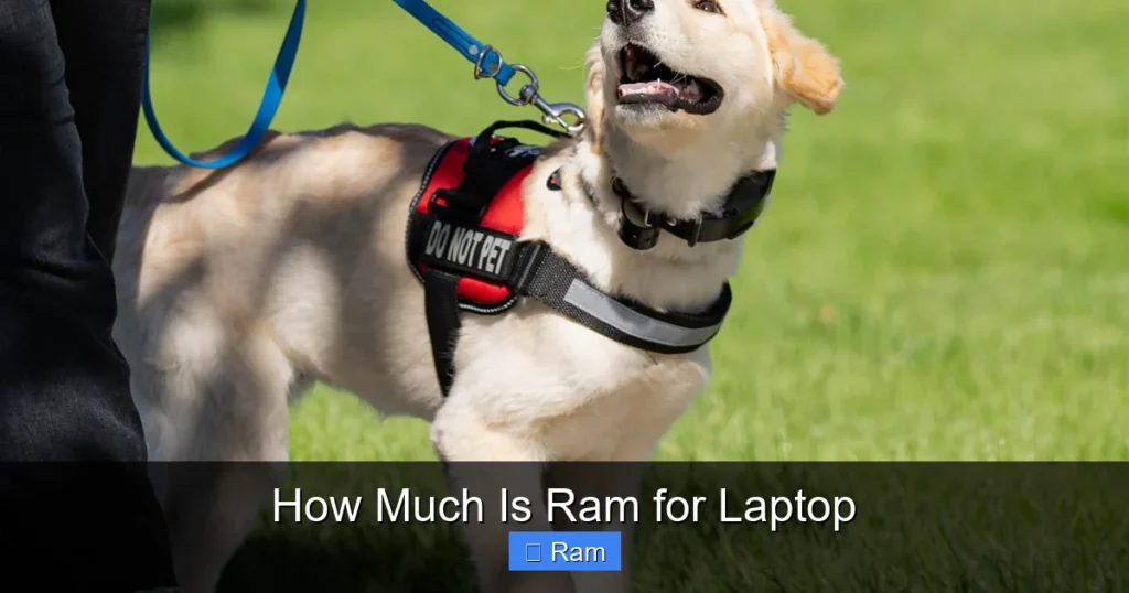 How Much Is Ram for Laptop