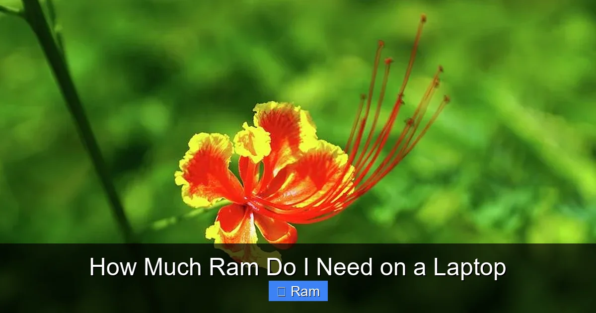 How Much Ram Do I Need on a Laptop