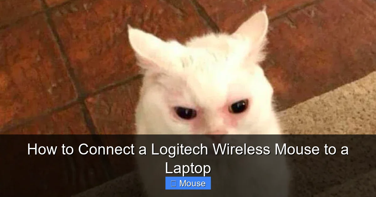 How to Connect a Logitech Wireless Mouse to a Laptop