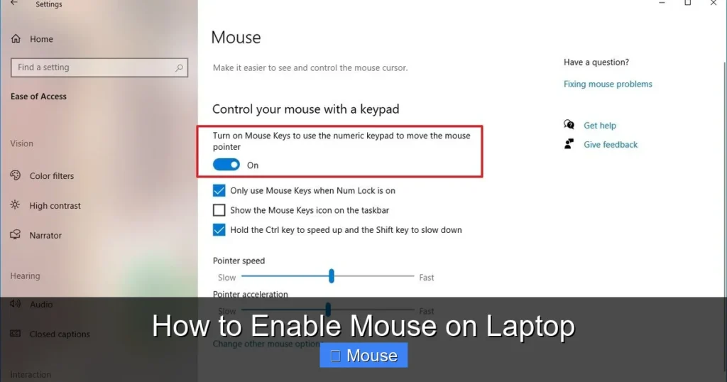 How to Enable Mouse on Laptop
