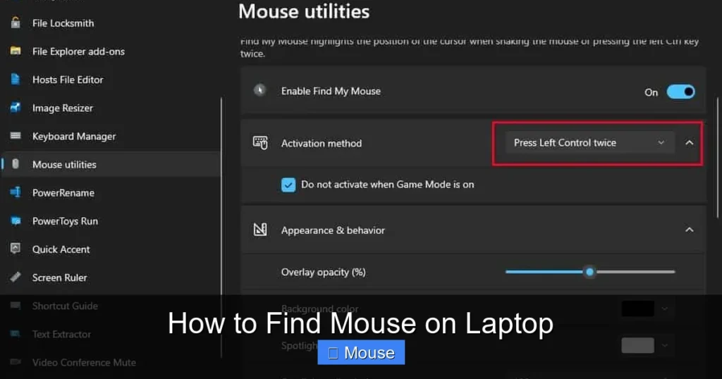 How to Find Mouse on Laptop