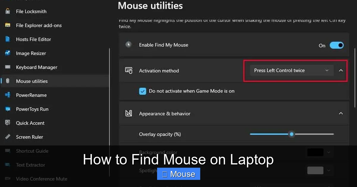 How to Find Mouse on Laptop