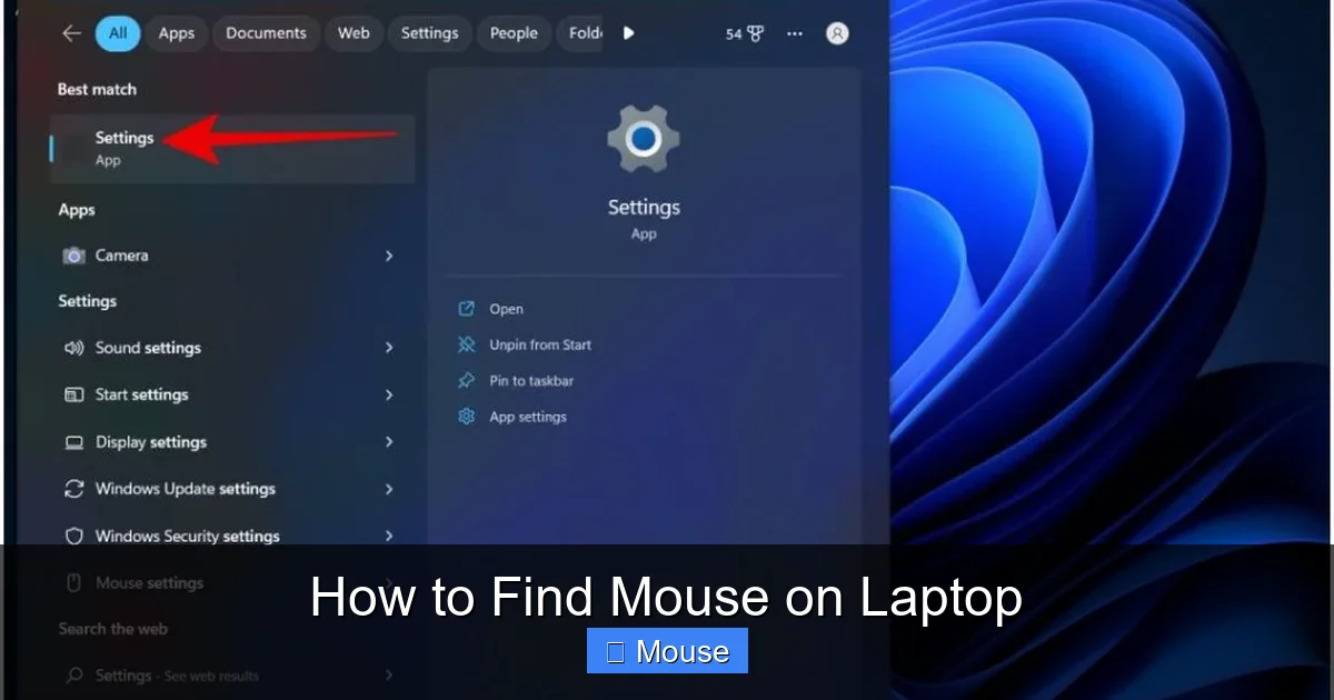 How to Find Mouse on Laptop