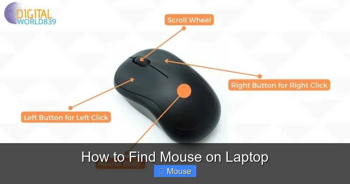 How to Find Mouse on Laptop