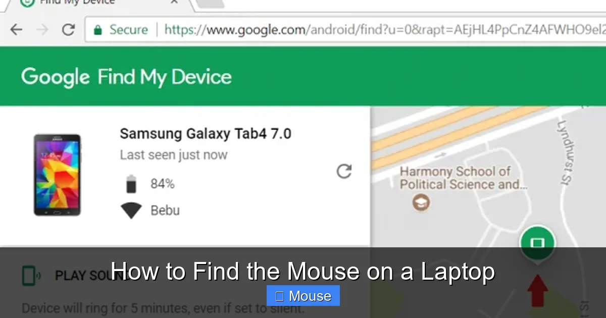 How to Find the Mouse on a Laptop