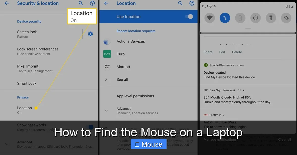 How to Find the Mouse on a Laptop