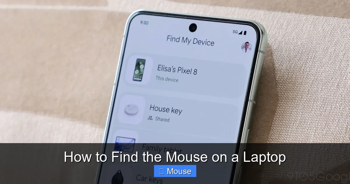 How to Find the Mouse on a Laptop