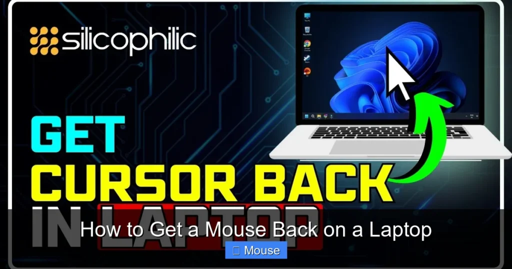 How to Get a Mouse Back on a Laptop