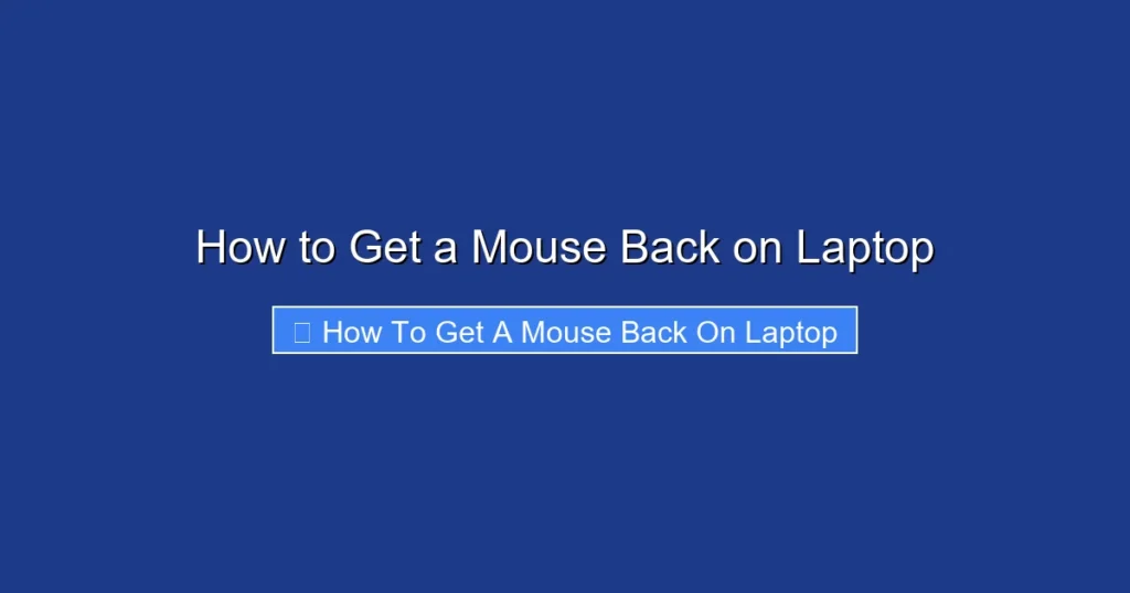 How to Get a Mouse Back on Laptop