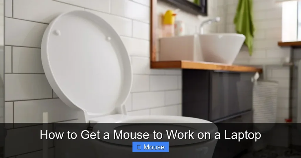How to Get a Mouse to Work on a Laptop