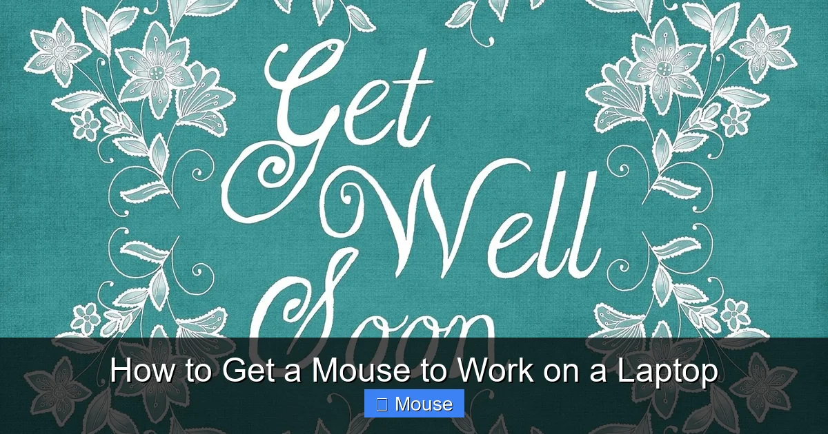 How to Get a Mouse to Work on a Laptop