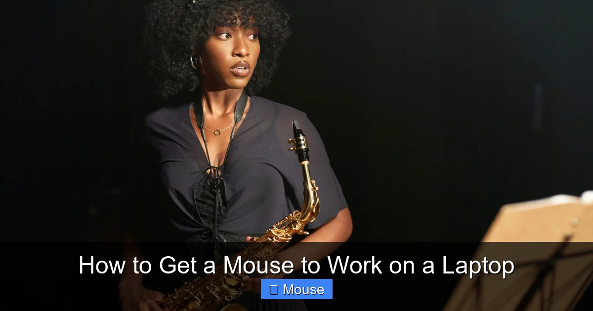 How to Get a Mouse to Work on a Laptop
