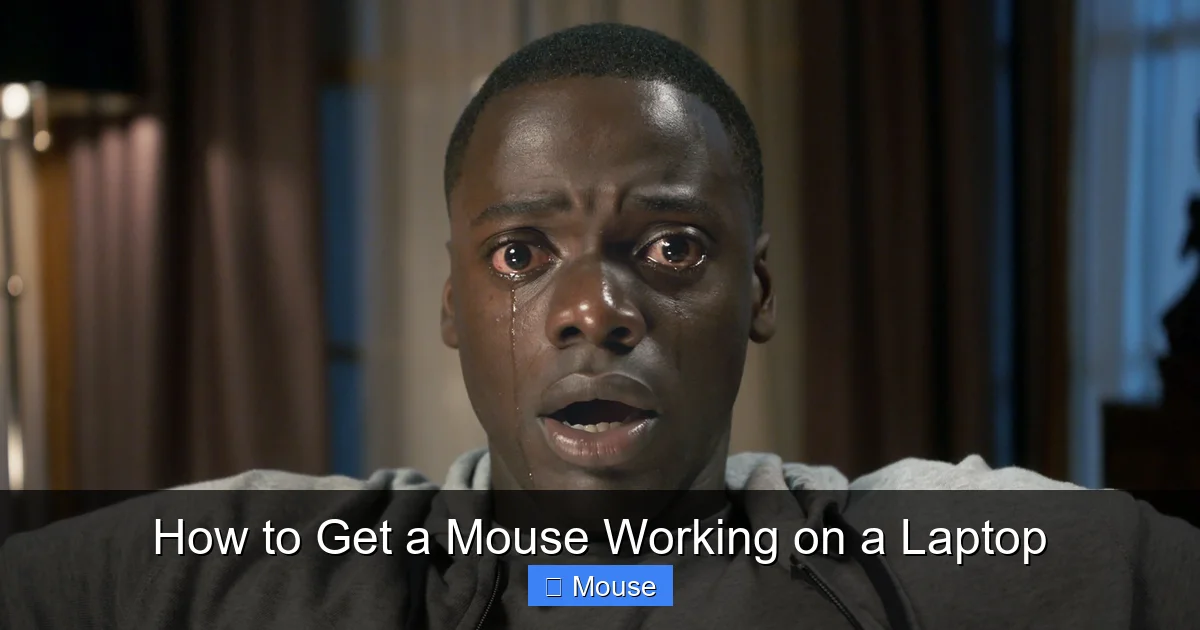 How to Get a Mouse Working on a Laptop