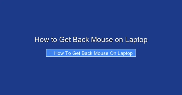 How to Get Back Mouse on Laptop