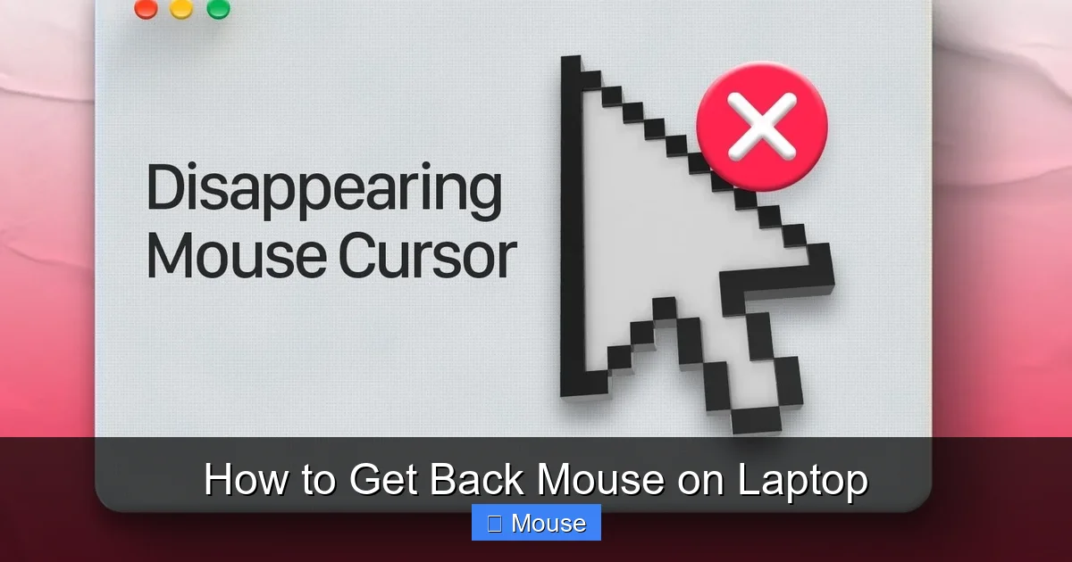 How to Get Back Mouse on Laptop