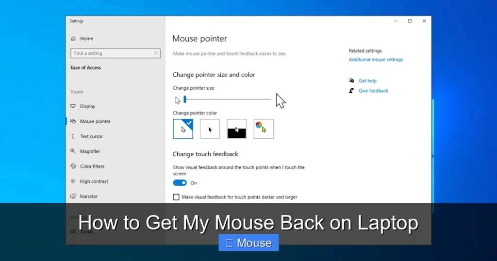 How to Get My Mouse Back on Laptop