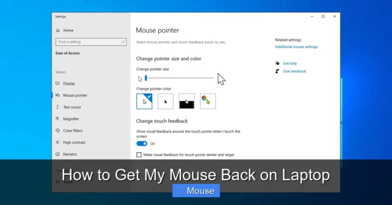 How to Get My Mouse Back on Laptop