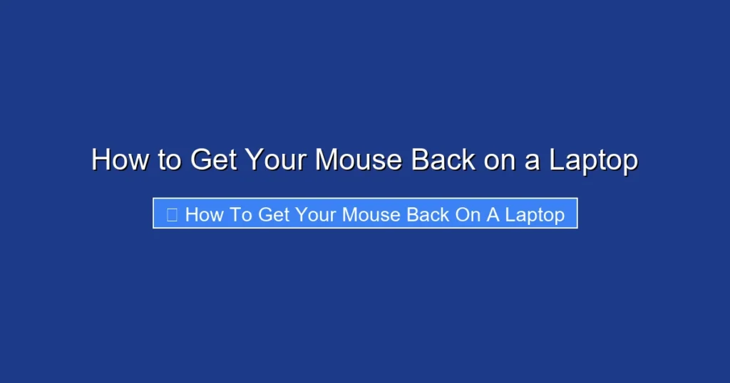 How to Get Your Mouse Back on a Laptop