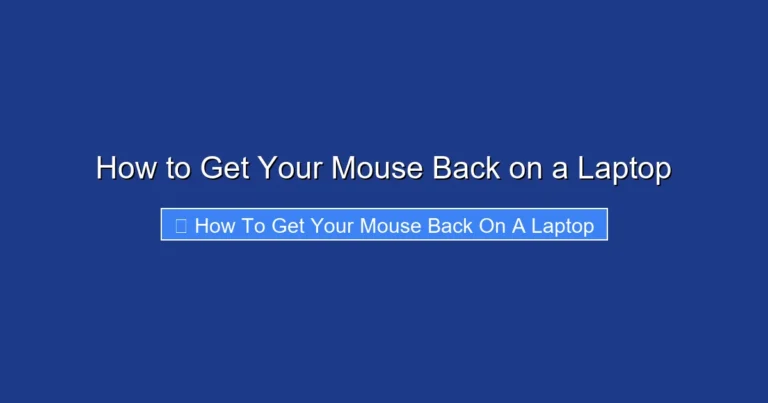 How to Get Your Mouse Back on a Laptop