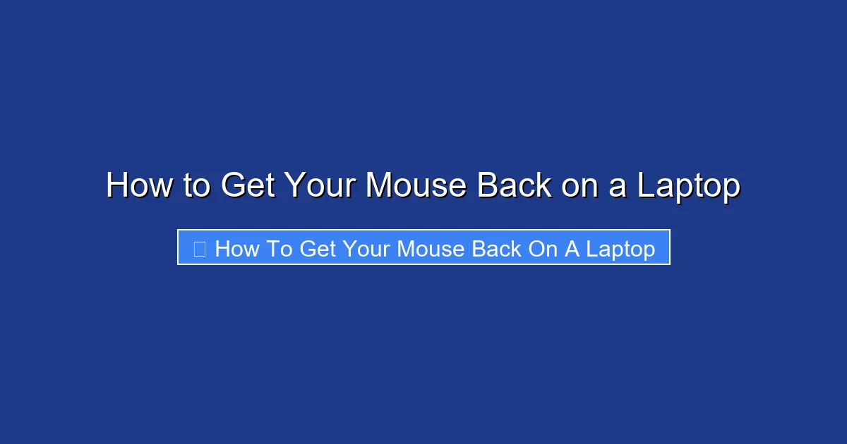 How to Get Your Mouse Back on a Laptop