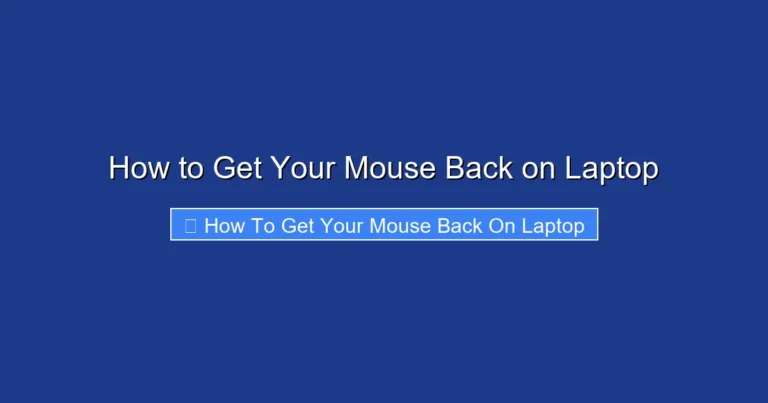 How to Get Your Mouse Back on Laptop