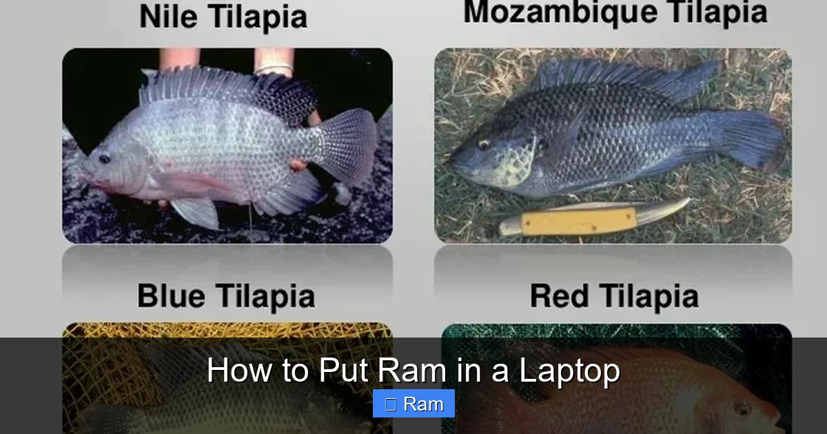 How to Put Ram in a Laptop