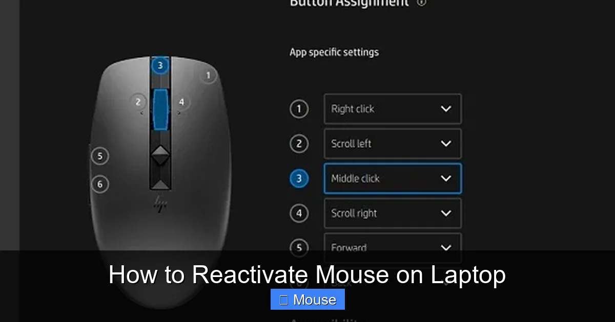 How to Reactivate Mouse on Laptop