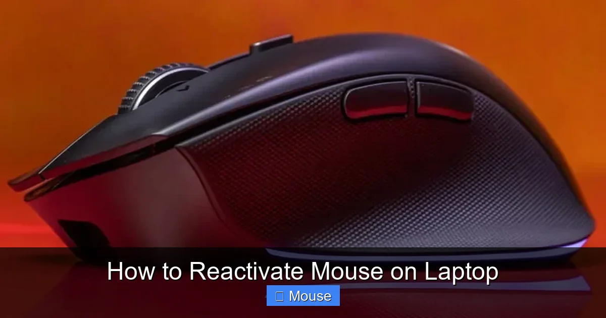 How to Reactivate Mouse on Laptop