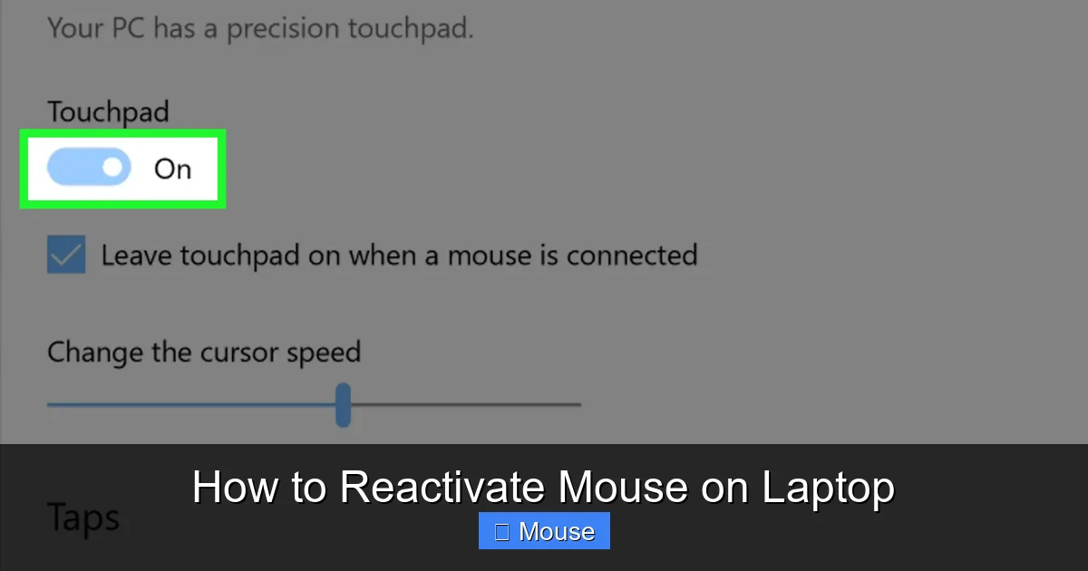 How to Reactivate Mouse on Laptop