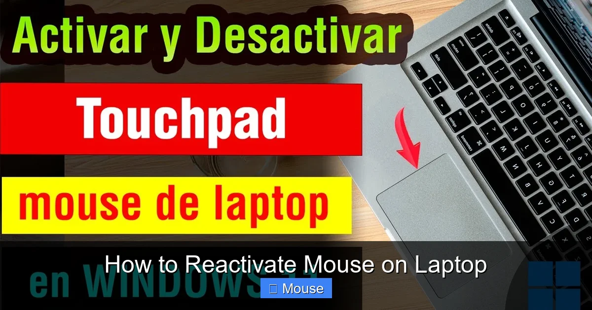 How to Reactivate Mouse on Laptop