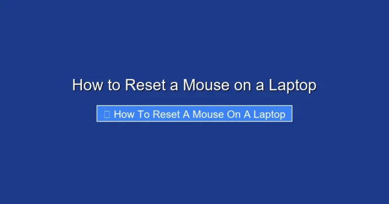 How to Reset a Mouse on a Laptop