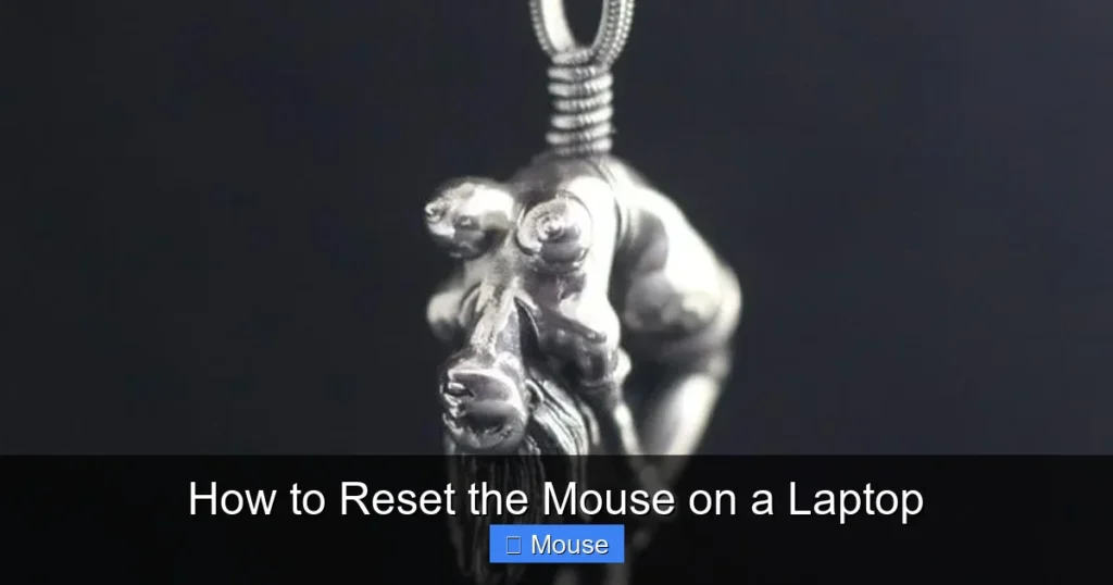 How to Reset the Mouse on a Laptop