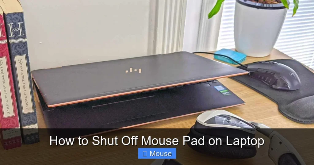 How to Shut Off Mouse Pad on Laptop
