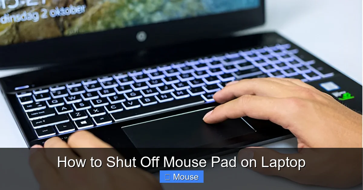 How to Shut Off Mouse Pad on Laptop