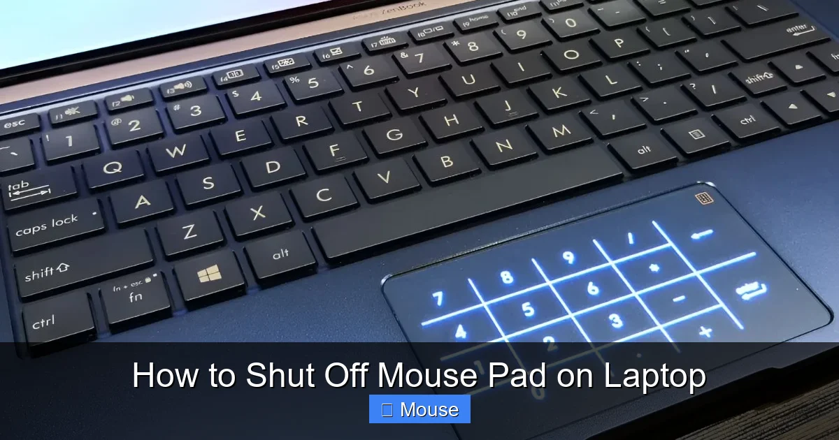 How to Shut Off Mouse Pad on Laptop
