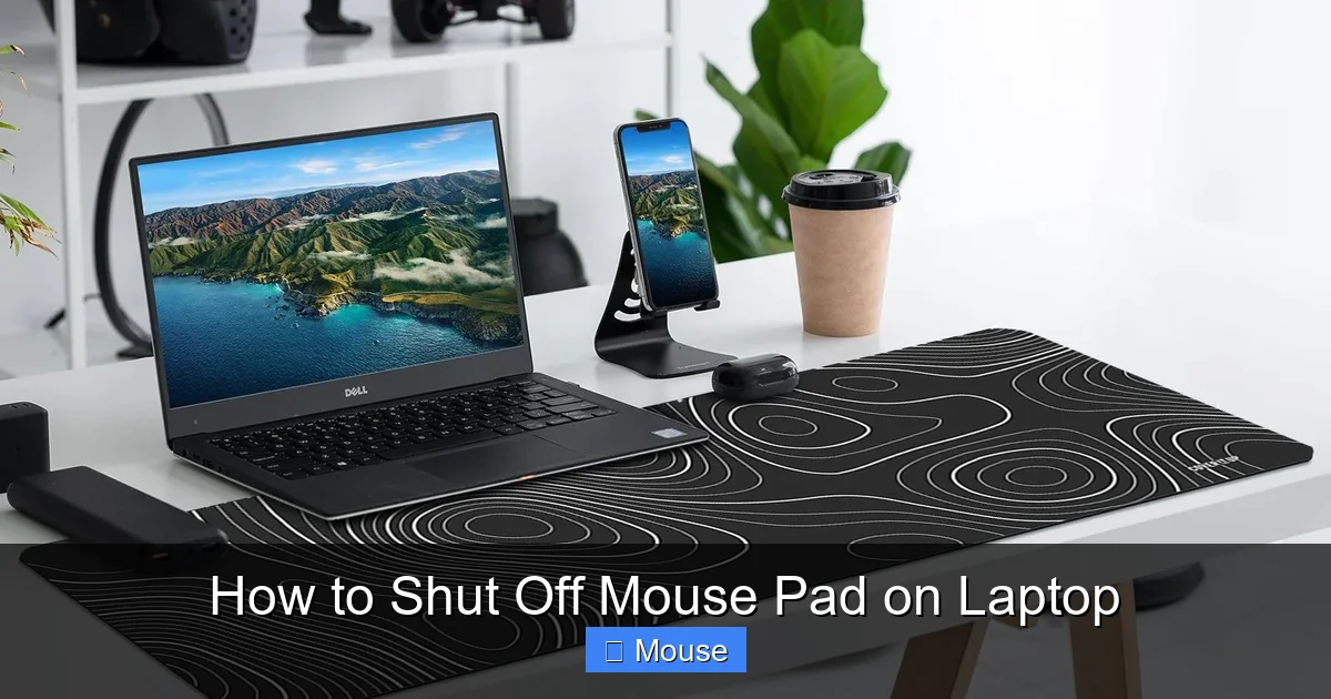 How to Shut Off Mouse Pad on Laptop
