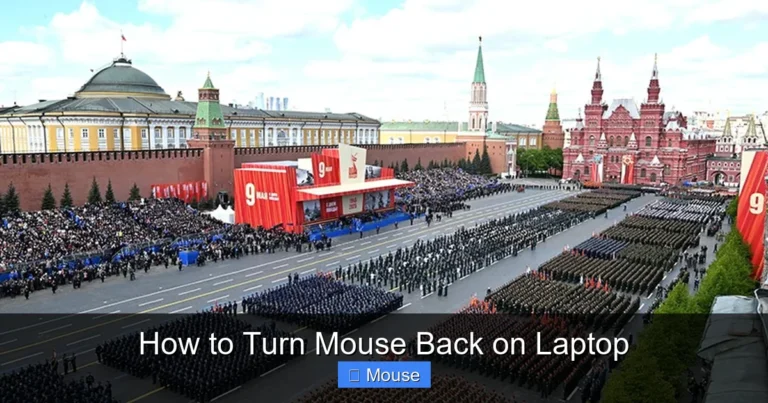 How to Turn Mouse Back on Laptop