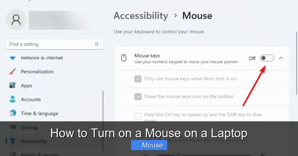 How to Turn on a Mouse on a Laptop