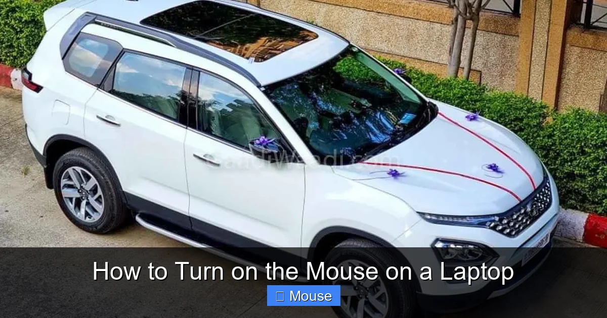 How to Turn on the Mouse on a Laptop
