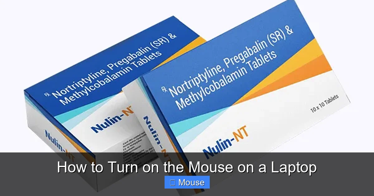 How to Turn on the Mouse on a Laptop