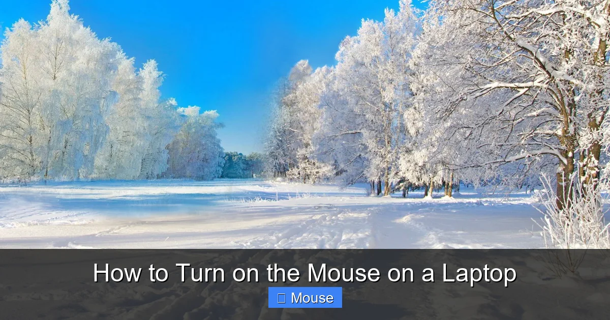 How to Turn on the Mouse on a Laptop