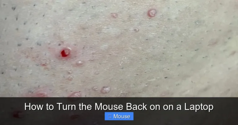 How to Turn the Mouse Back on on a Laptop