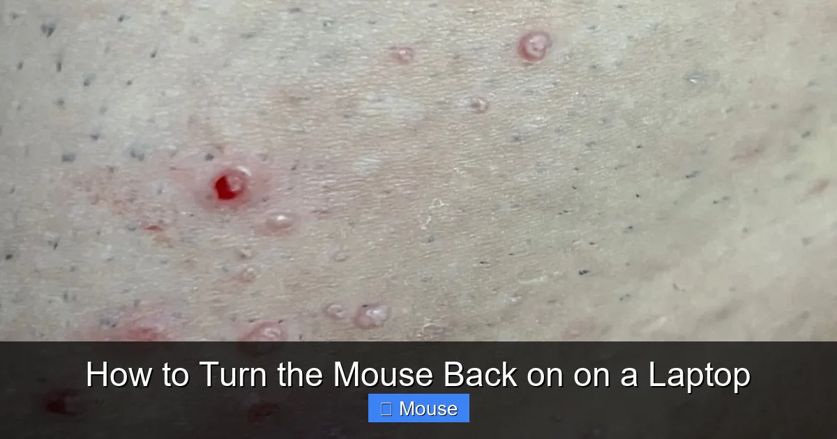 How to Turn the Mouse Back on on a Laptop