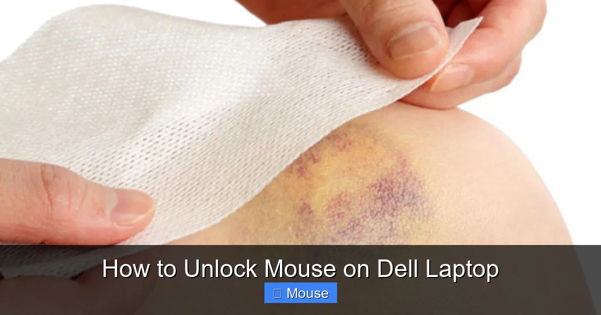How to Unlock Mouse on Dell Laptop