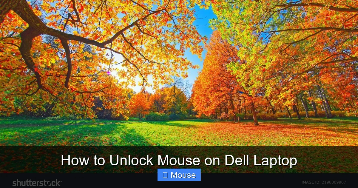 How to Unlock Mouse on Dell Laptop