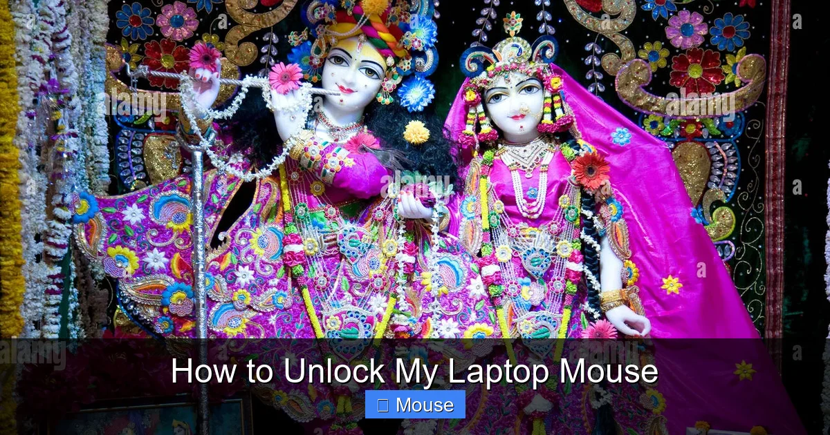 How to Unlock My Laptop Mouse