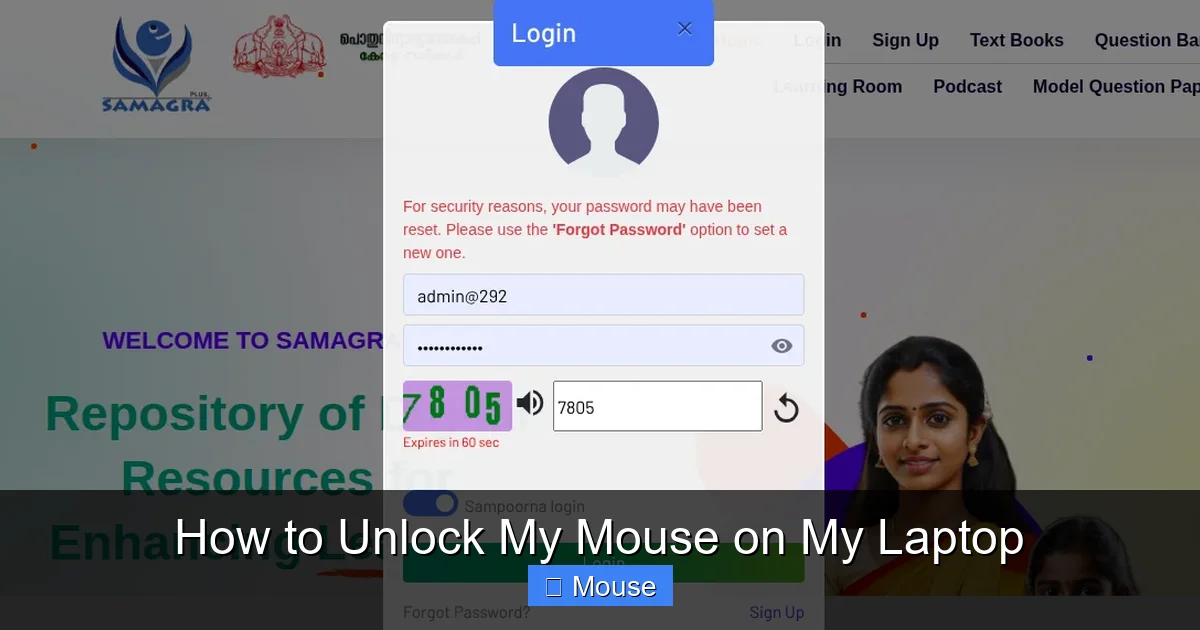 How to Unlock My Mouse on My Laptop